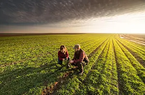 Registration now open for UK innovator support programme