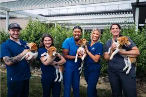ADM and Hill’s Pet Nutrition Partner to Boost Farm Resilience Through Regenerative Agriculture