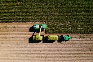 Crop ratings fall after dry April-May, with key weeks ahead for yield potential